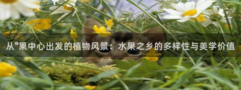 天顺娱乐车18 888