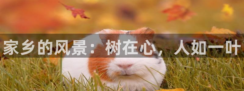 天顺娱乐大连