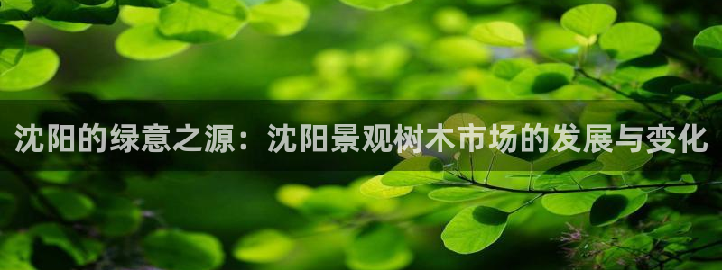 天顺娱乐暗72182