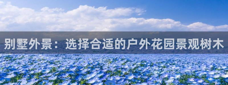 天顺娱乐疤就D675 138
