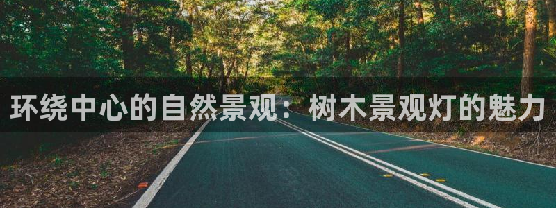 天顺娱乐及33300j