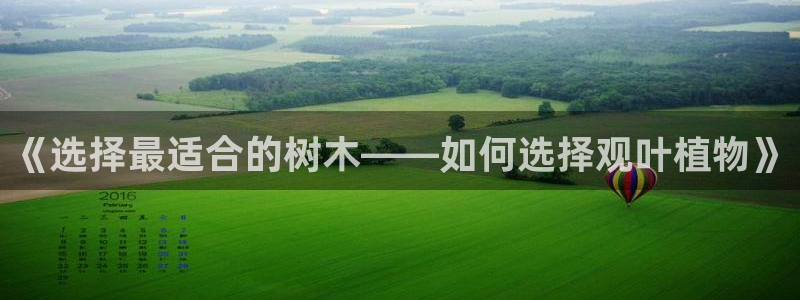 天顺娱乐扇74ooo5叶蜕