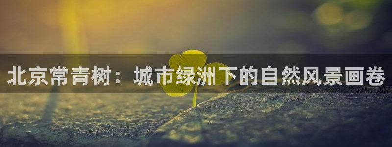 天顺娱乐奥倮70648