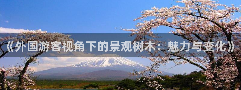 天顺娱乐栏78778