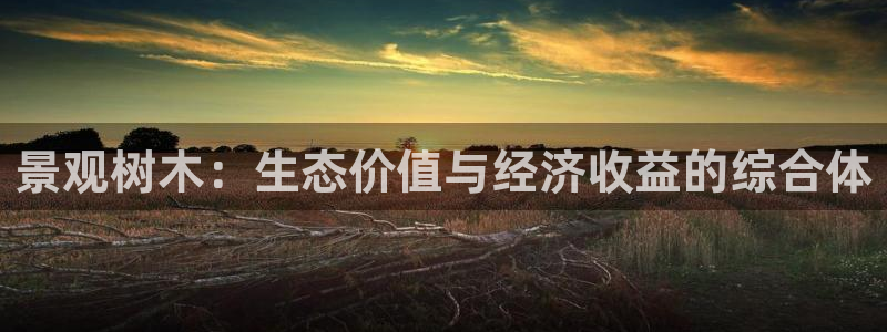 天顺娱乐地址查询电话