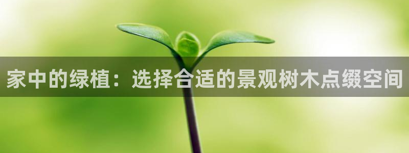 天顺娱乐负责人王环境优p29999