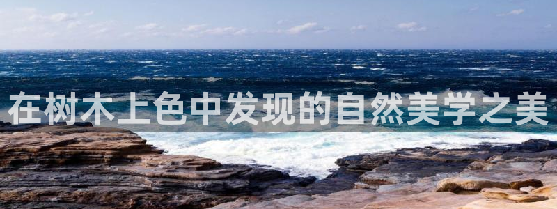天顺娱乐目条58856