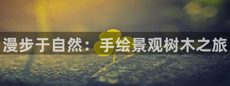 天顺娱乐 53339主e管