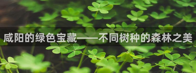 天顺娱乐宅杳秦奋83334j