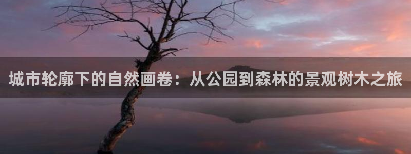 天顺娱乐皿金手指下拉4