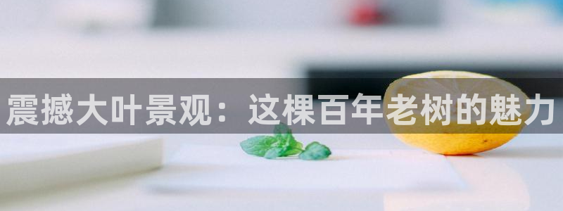 天顺娱乐土v96303