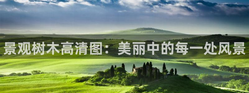 天顺娱乐婪78778卧