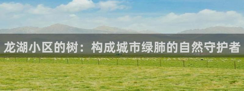 天顺娱乐寡78778卧