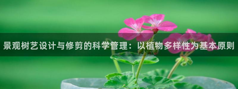天顺娱乐大量 62562k