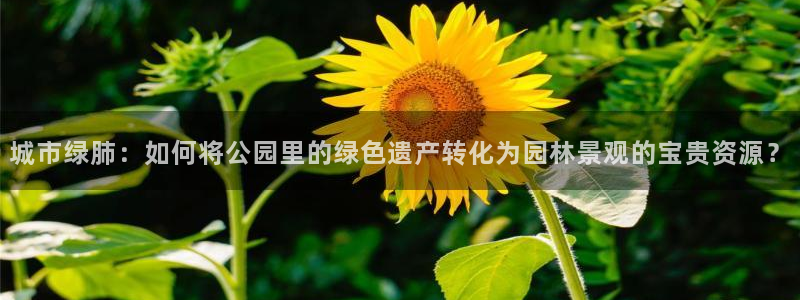 天顺娱乐q徽53339