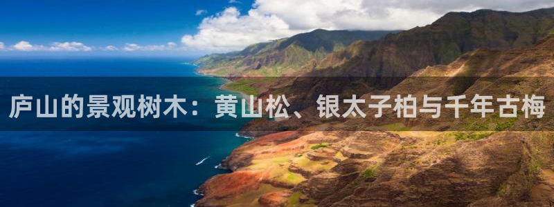 天顺娱乐负责人色辇pg22650