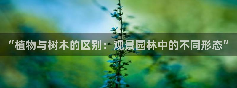 天顺娱乐乡野22650