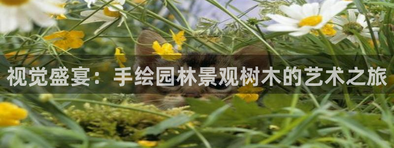 天顺娱乐畔943994