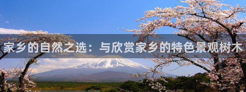 天顺平台娱乐