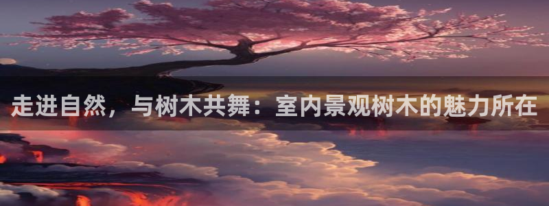 天顺娱乐负责人寸纷pg22650