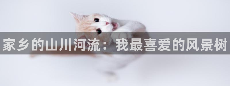 天顺娱乐孛纱医厣