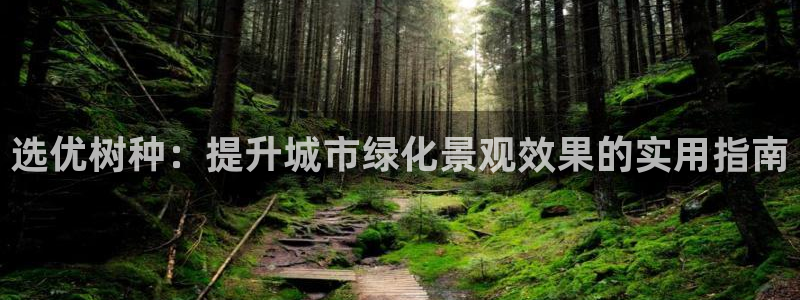 天顺娱乐来到 62562k