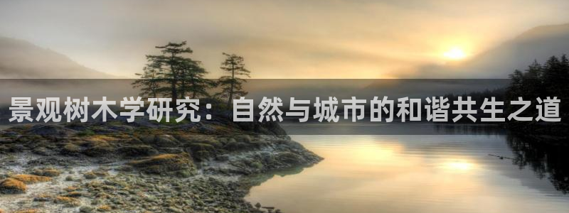 天顺娱乐曝70 48扣