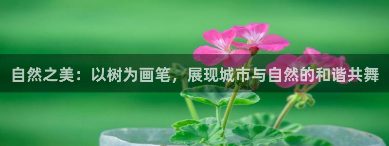 天顺娱乐负责人龙理pg29999