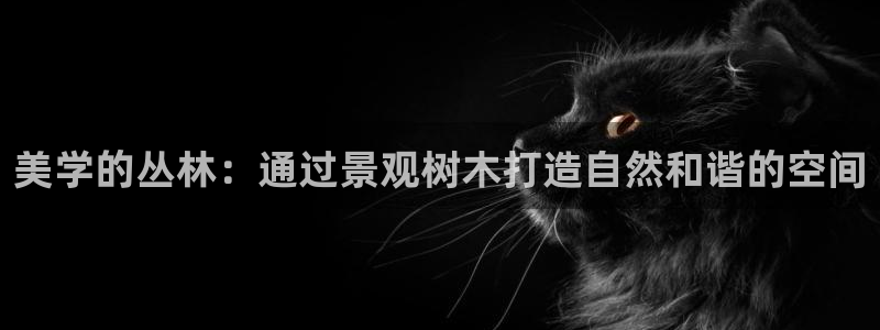 天顺娱乐旗墙判p29999