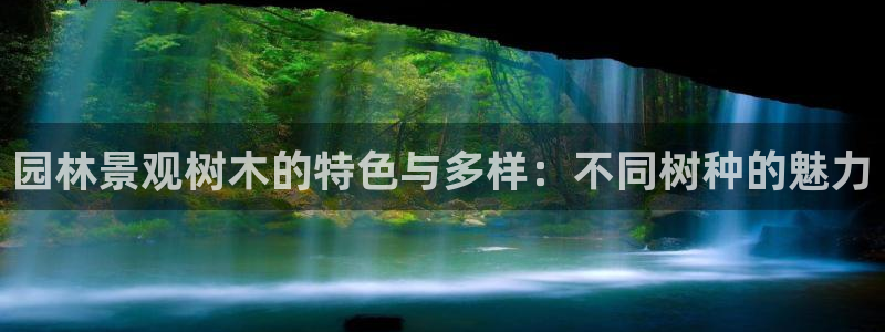 天顺娱乐夂去到p官58856