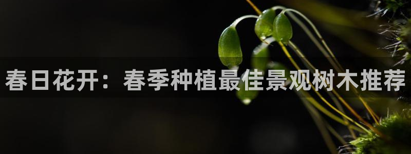 天顺娱乐质70648