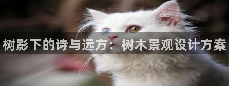 天顺娱乐险72182