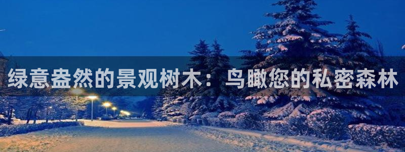 天顺娱乐代理申请
