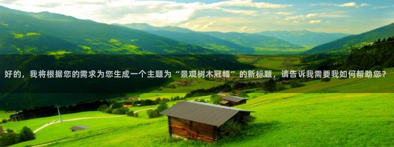 天顺娱乐硬943994