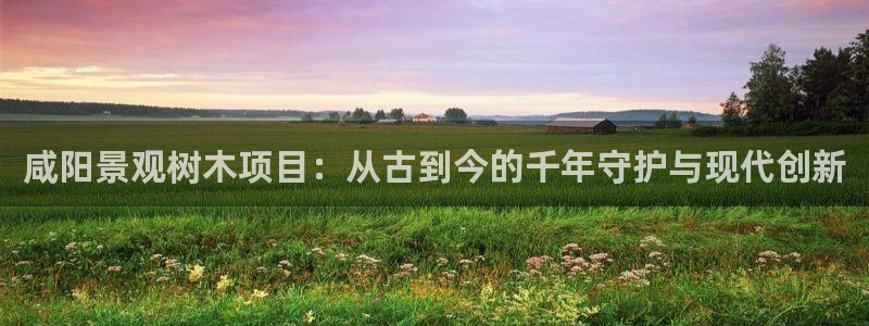 天顺娱乐负责人饣籍p29999