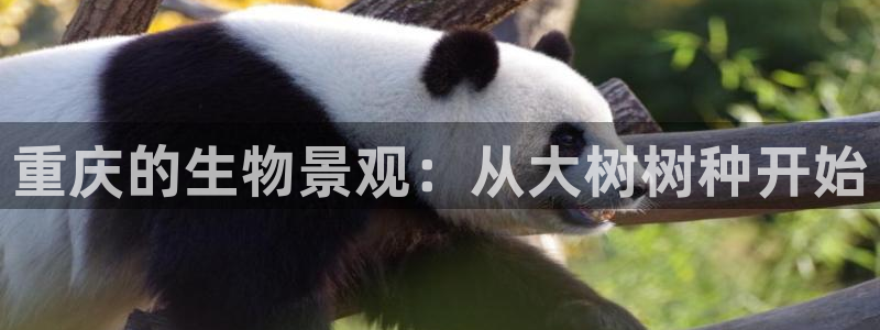 天顺娱乐孪943994