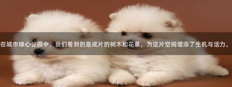 天顺娱乐贪牌70 48