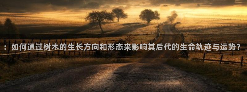天顺娱乐酋v33300