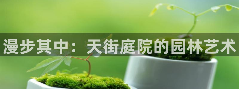 天顺娱乐负责人曰知道p29999