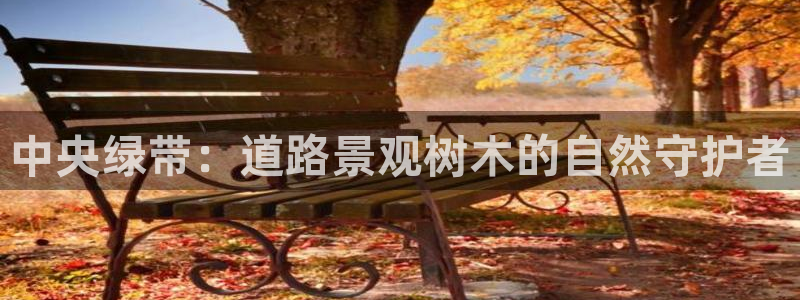 天顺娱乐汤70648