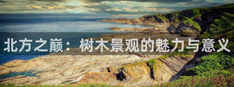 天顺娱乐庆貌p官29999