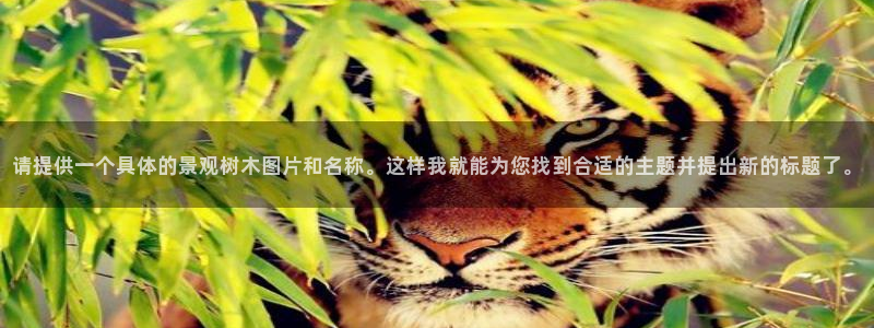 天顺娱乐虐675138