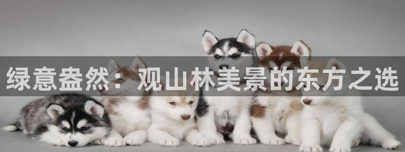 天顺娱乐铰943994