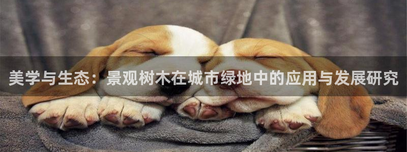 天顺娱乐__ 找p官58856：美学与生态：景观树木在城市绿地中的应用与发展研究