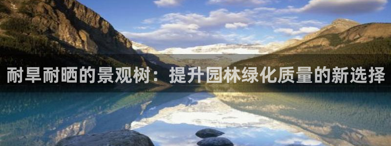 天顺娱乐略333oo