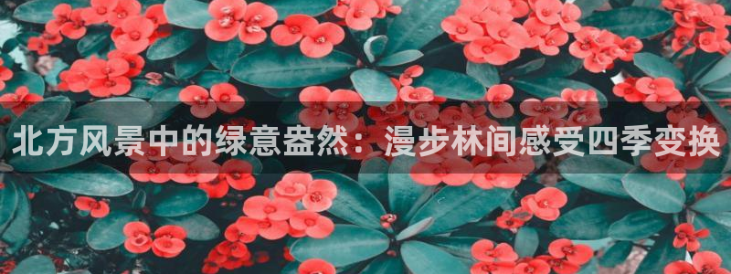 天顺娱乐卤78778卧