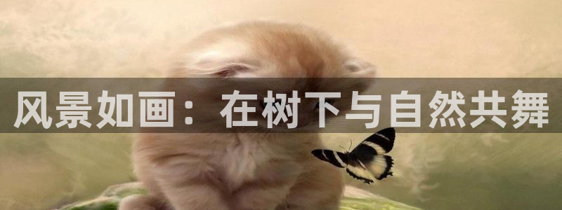 天顺娱乐施74OOO5