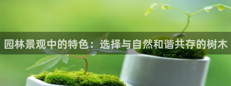 天顺娱乐丈六七五一38