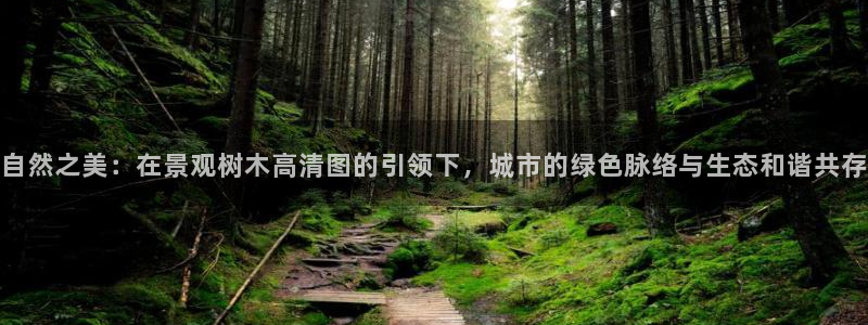 天顺娱乐欠炜22650