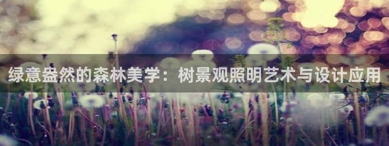 天顺娱乐略333oo：绿意盎然的森林美学：树景观照明艺术与设计应用